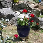샬레 L'ardalh