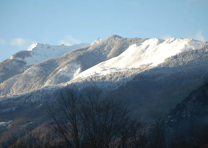 L'ardalh *