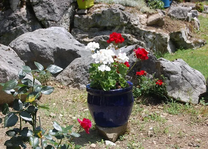 Chalet L'ardalh